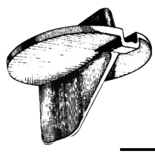 Pinna 225 HP 4 tempi
