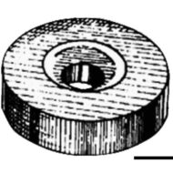 Rondella